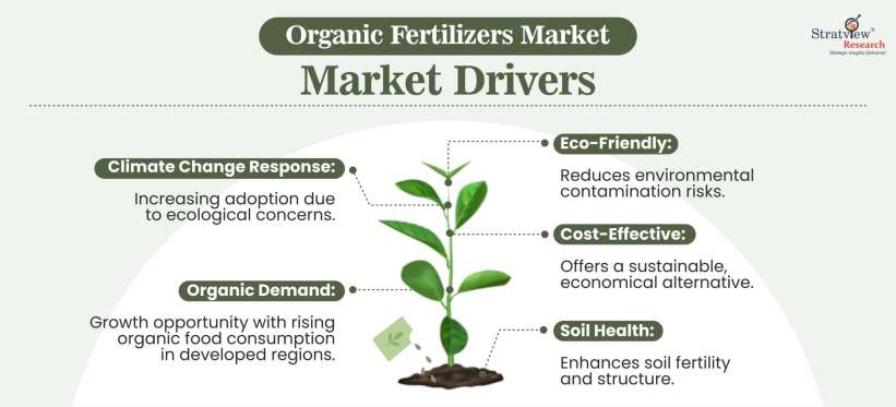 Organic-Fertilizers-Market-Dynamics